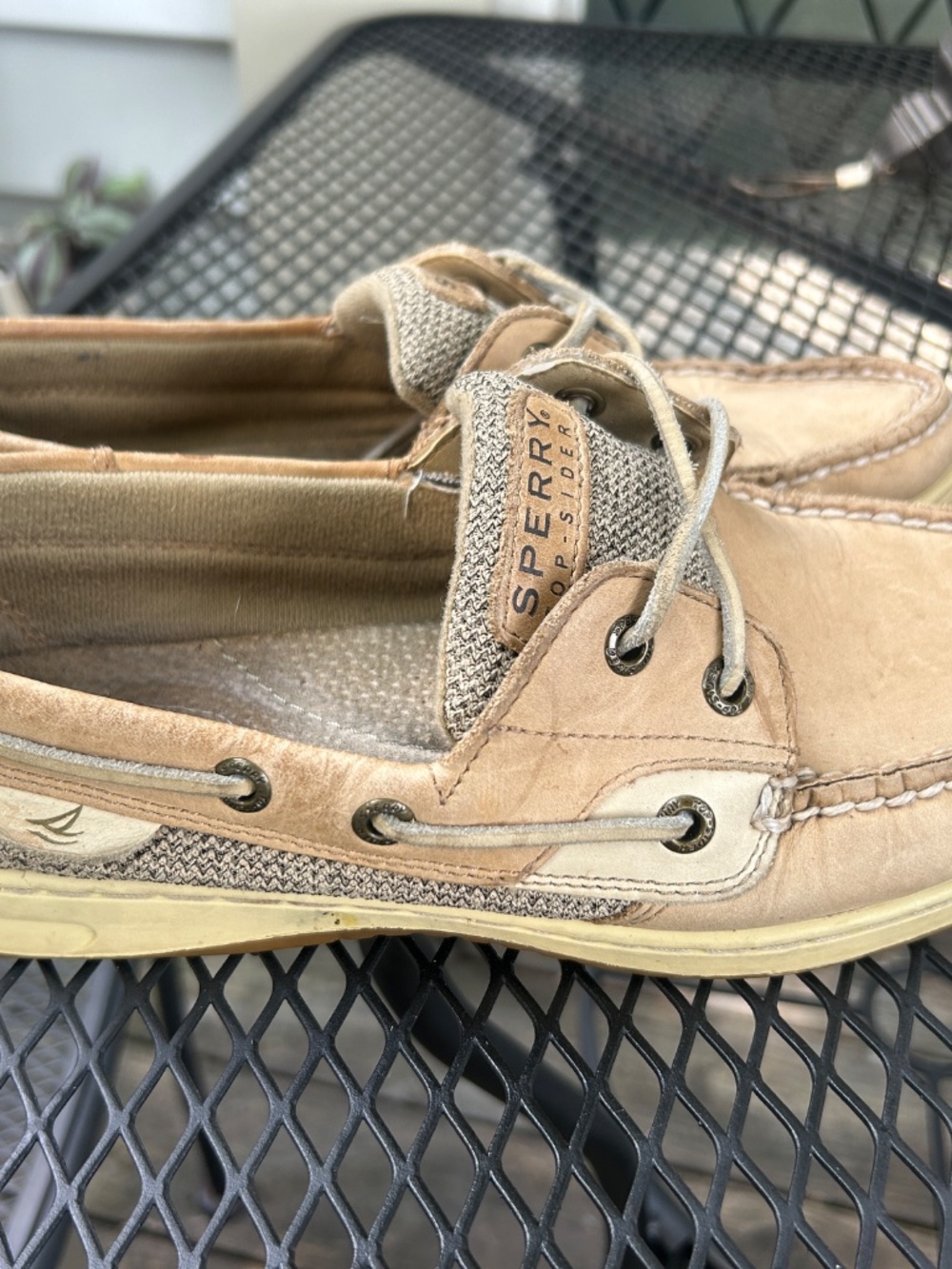 Sperry Topsiders